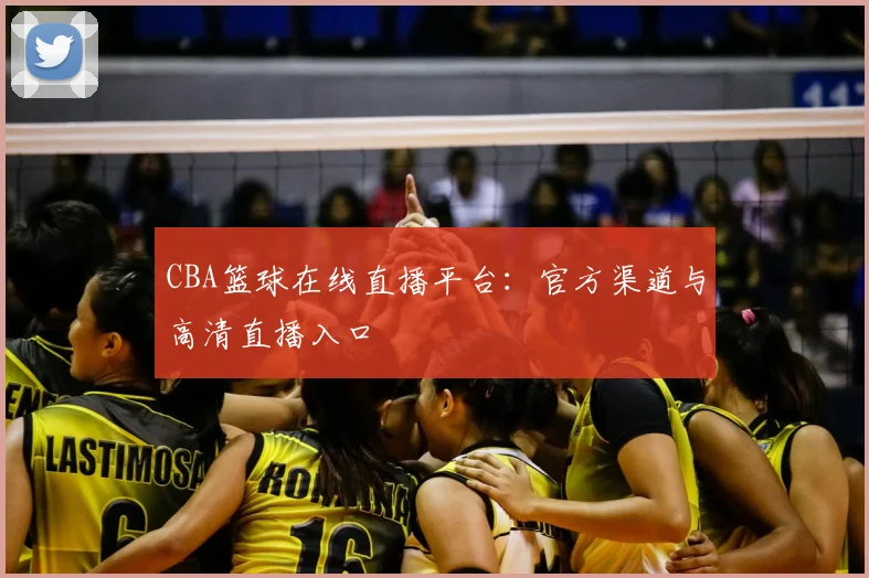 CBA篮球在线直播平台:官方渠道与高清直播入口