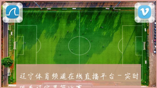 辽宁体育频道在线直播平台 - 实时观看辽宁男篮比赛
