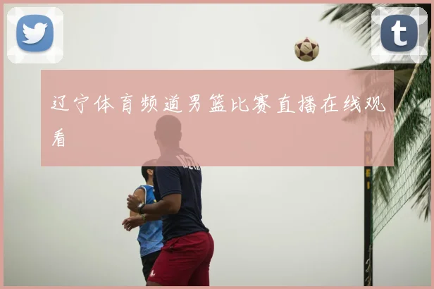 辽宁体育频道男篮比赛直播在线观看