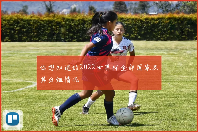 你想知道的2022世界杯全部国家及其分组情况