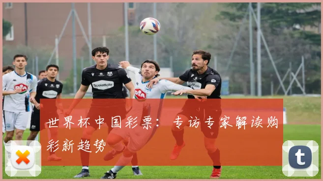世界杯中国彩票:专访专家解读购彩新趋势
