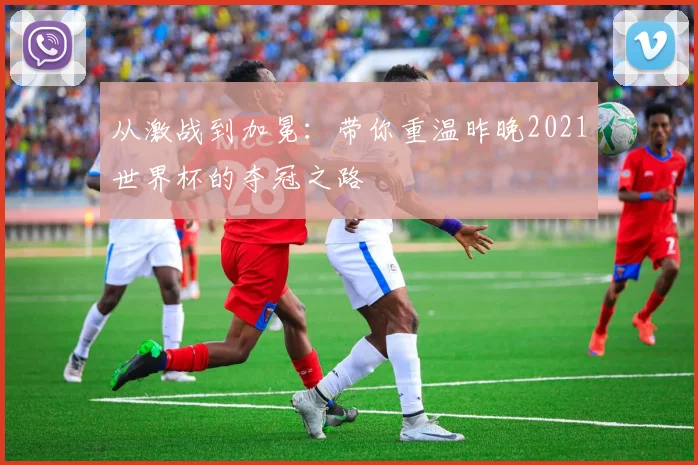 从激战到加冕:带你重温昨晚2021世界杯的夺冠之路