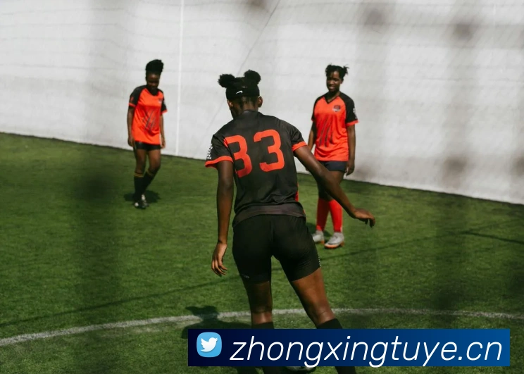 星空官网网页版入口APP 封面图